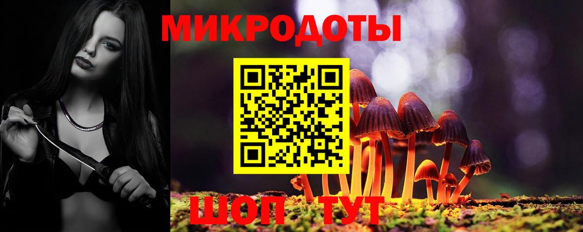 Галлюциногенные грибы Cubensis Гурьевск